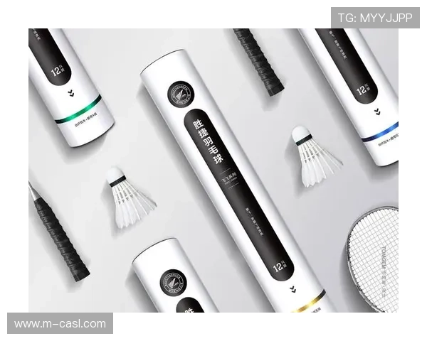 订阅盒服务模式尝试，定期配送体育用品