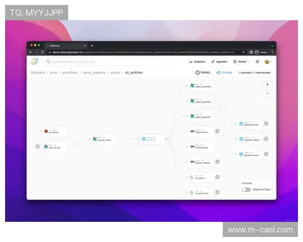 数据血缘追踪确保内容来源可信 提升公信力