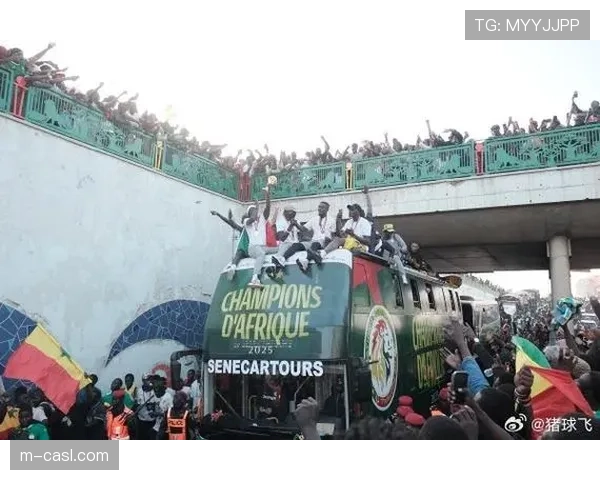 深度报道：非洲国家杯扩军至24队后的承办困境，基础设施不足与安全压力并存